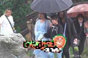 吃瓜娱乐间刘诗诗