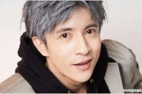 娱乐吃瓜零绯闻,吃瓜零绯闻的神秘人物