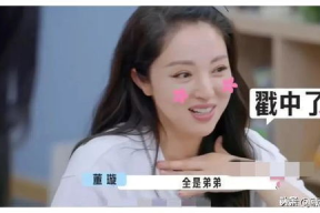 娱乐圈吃瓜爆料沙雕小说,瓜田里的沙雕爆料传奇